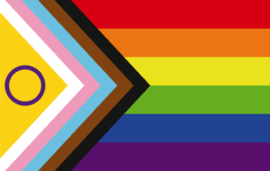 LGBTQI + flag
